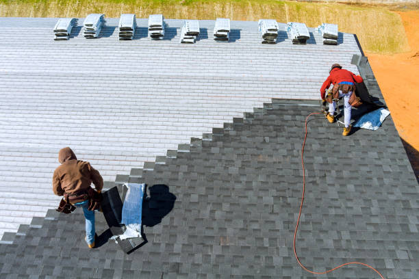 Best Roof Gutter Cleaning  in Stevenson, AL