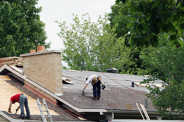 Best Local Roofing Companies  in Stevenson, AL