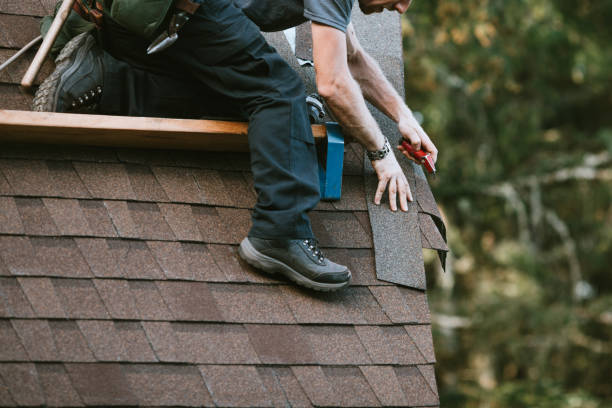 Best Metal Roofing Contractor  in Stevenson, AL